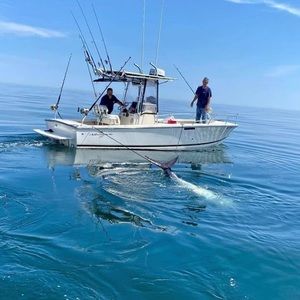 Meet your Posher, Warren